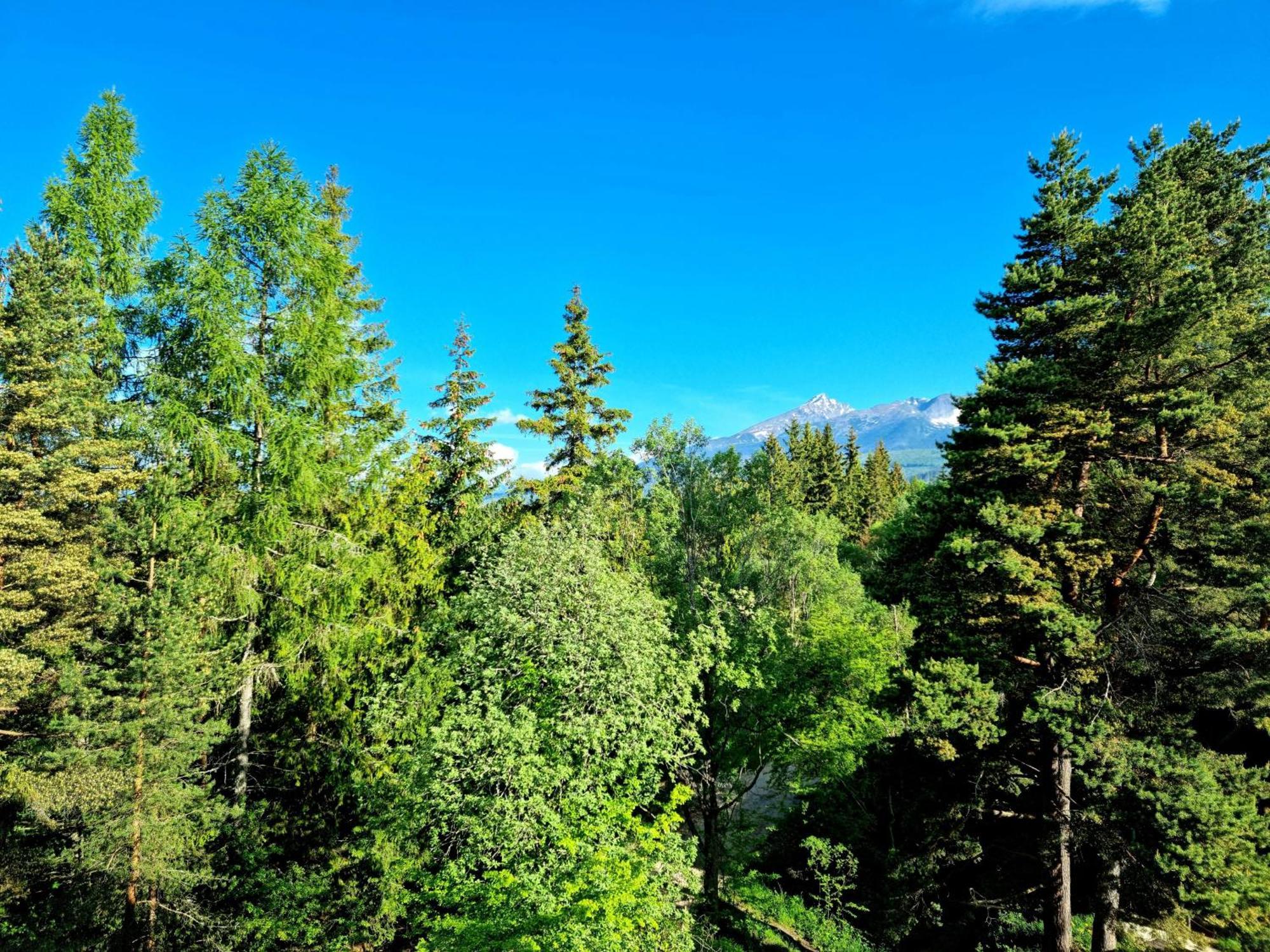 Monte Amnis Apartment Strbske Pleso Exterior photo